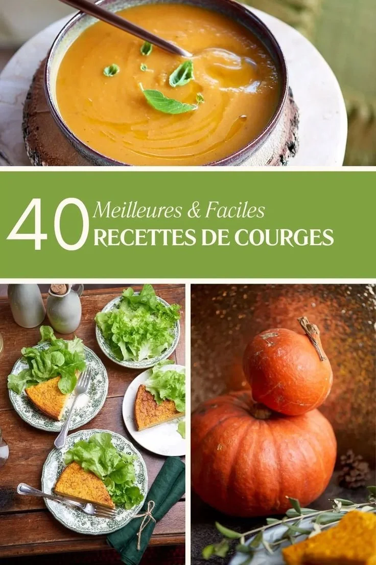 Recettes de courge : 40 plats faciles et savoureux pour les amateurs de cuisine.